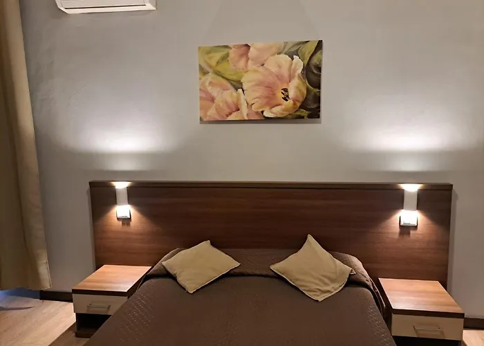 Hotel Leone *